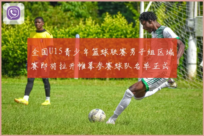 全国U15青少年篮球联赛男子组区域赛即将拉开帷幕参赛球队名单正式公布