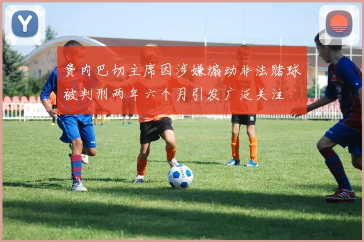 费内巴切主席因涉嫌煽动非法赌球被判刑两年六个月引发广泛关注