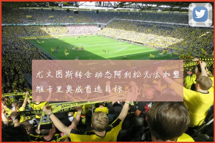 尤文图斯转会动态阿利松无法加盟维卡里奥成首选目标
